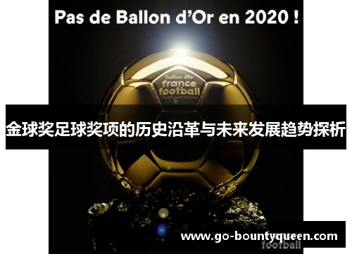 金球奖足球奖项的历史沿革与未来发展趋势探析